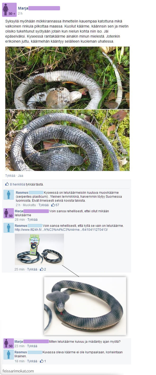 Kiinalainen käärme