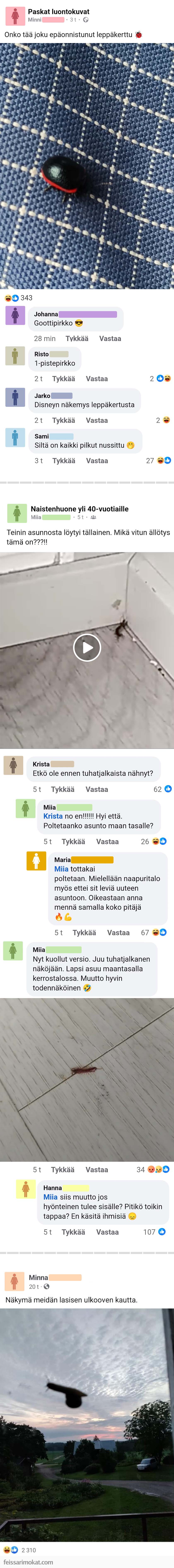 Luontoilta, osa 101