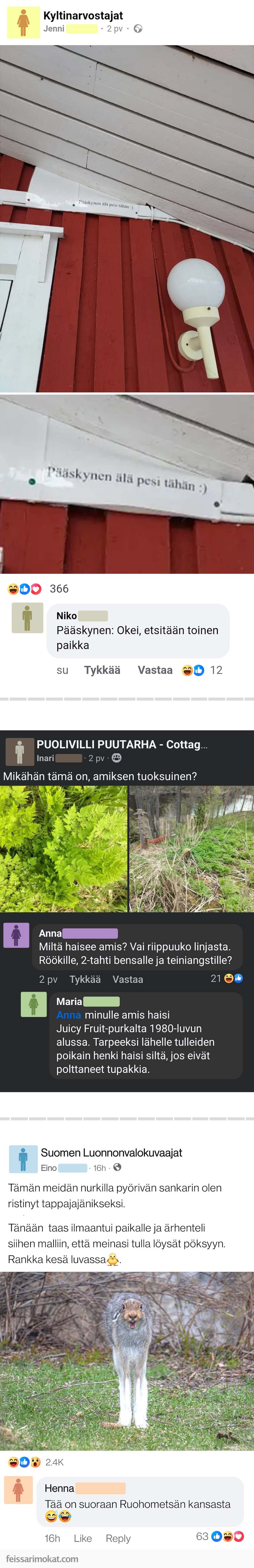 Luontoilta, osa 103