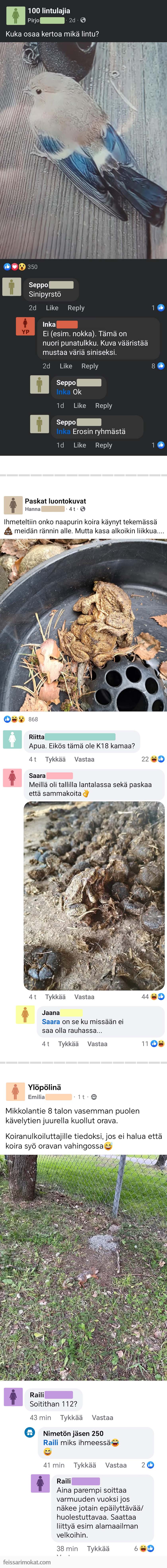 Luontoilta, osa 105