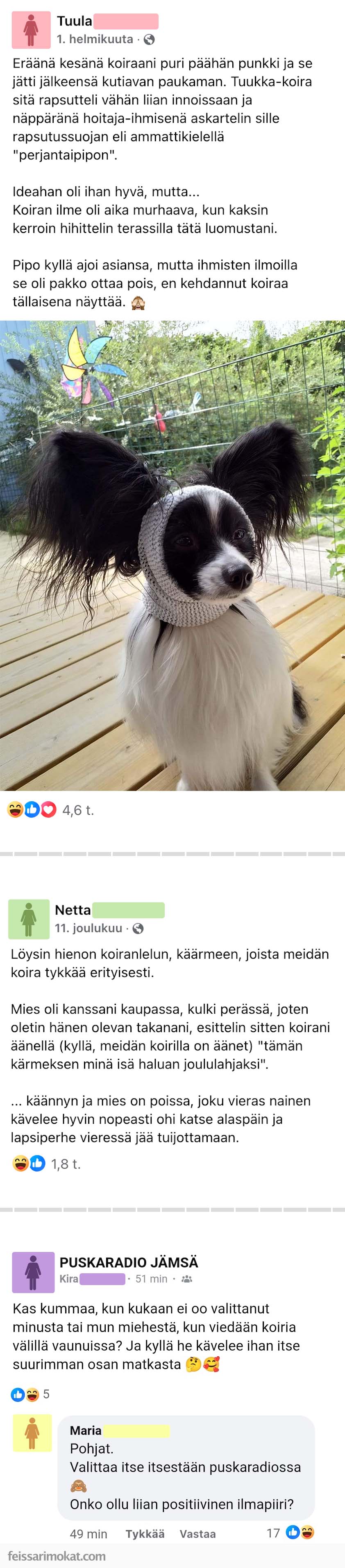 Koiranomistajat, osa 74