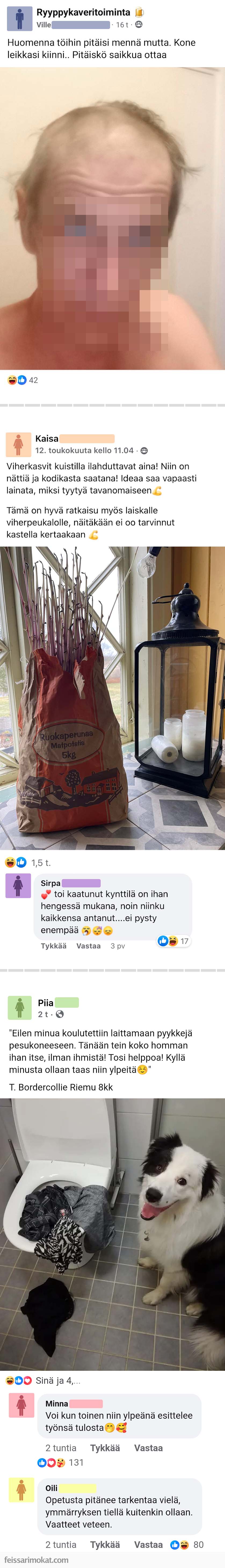 Kuvakooste, osa 498