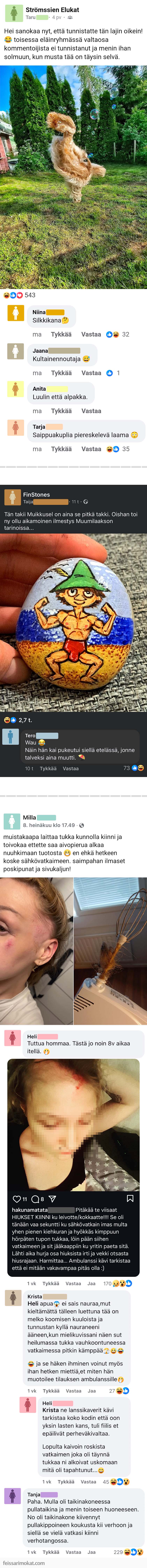 Kuvakooste, osa 501