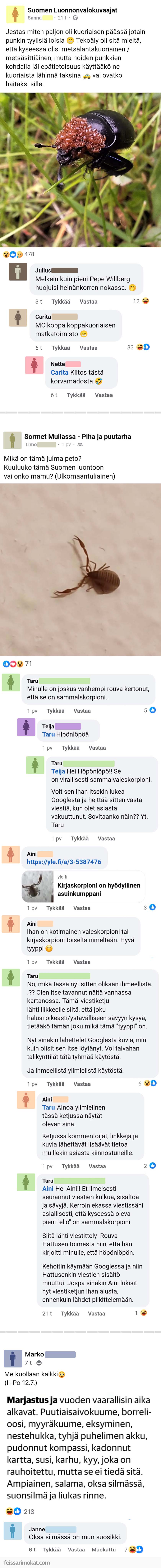 Luontoilta, osa 107