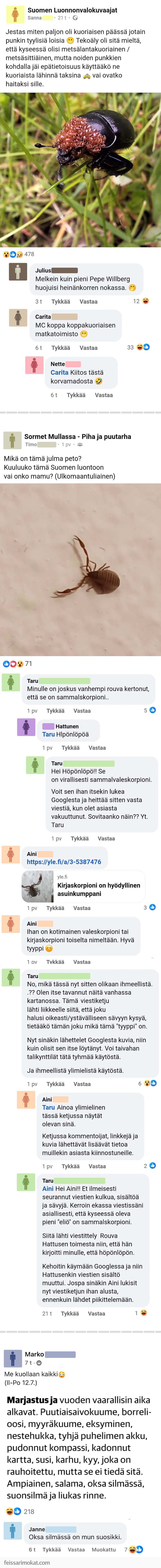 Luontoilta, osa 107