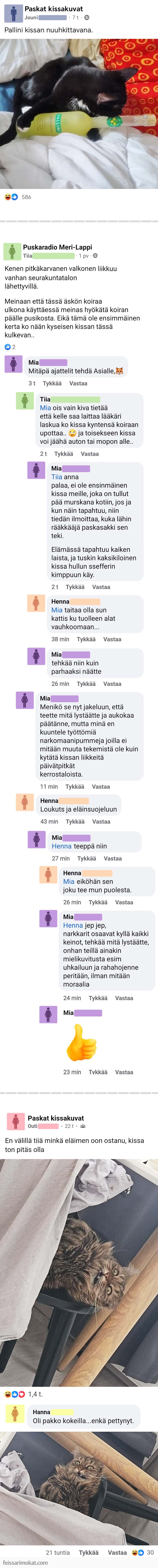 Kissaihmiset, osa 71