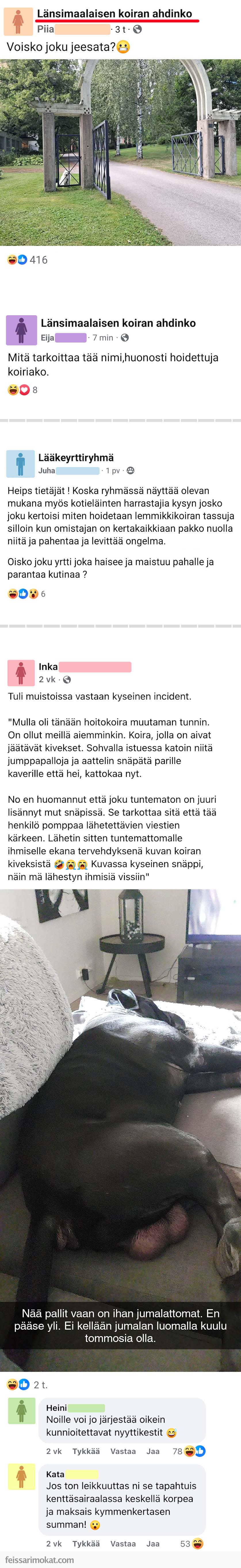 Koiranomistajat, osa 76