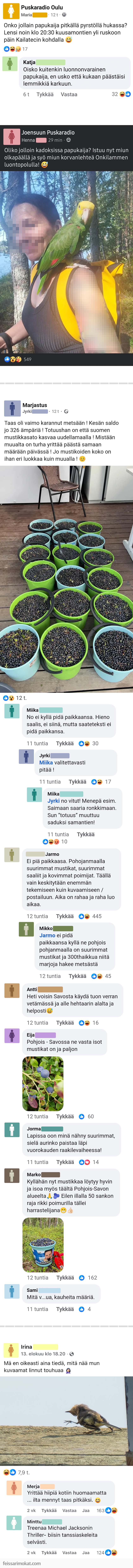 Luontoilta, osa 112
