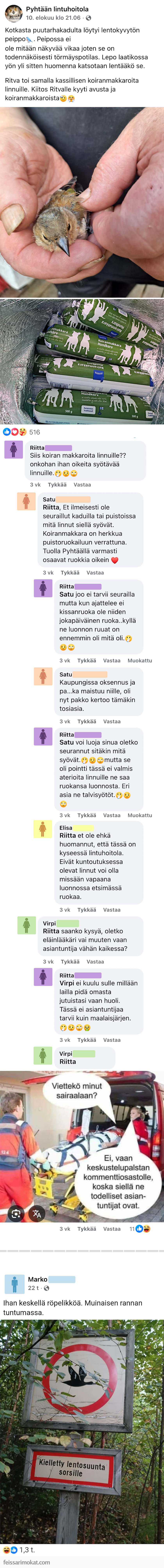 Luontoilta, osa 113