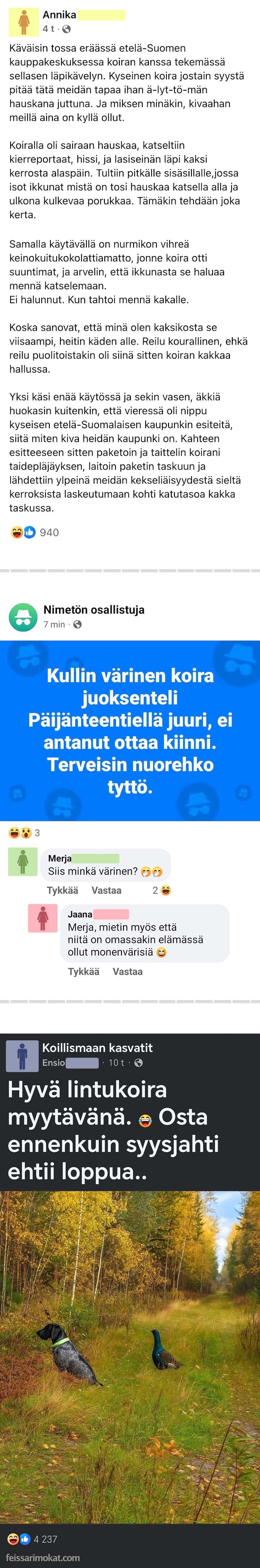 Koiranomistajat, osa 78