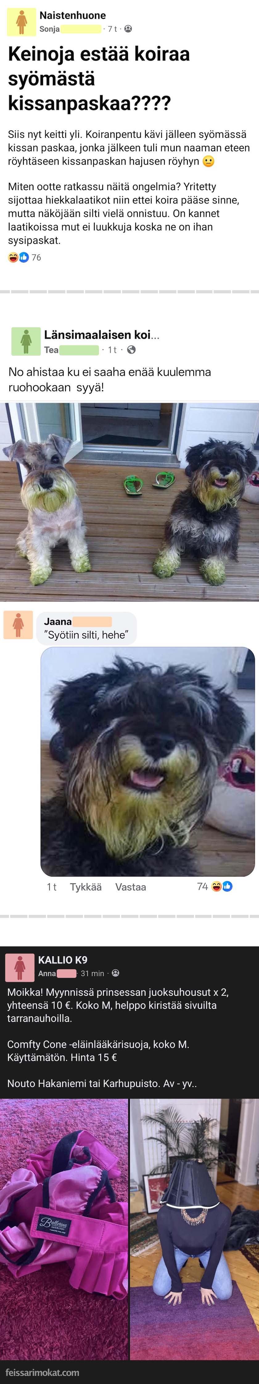 Koiranomistajat, osa 79