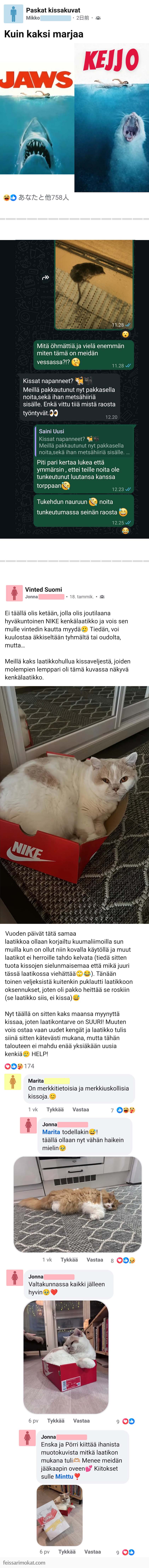 Kissaihmiset, osa 74