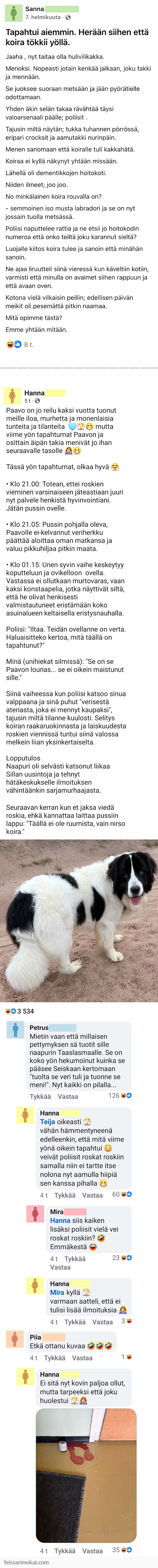 Koiranomistajat, osa 82