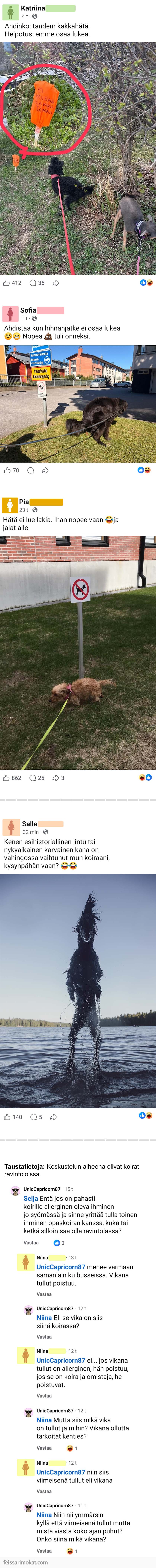 Koiranomistajat, osa 84