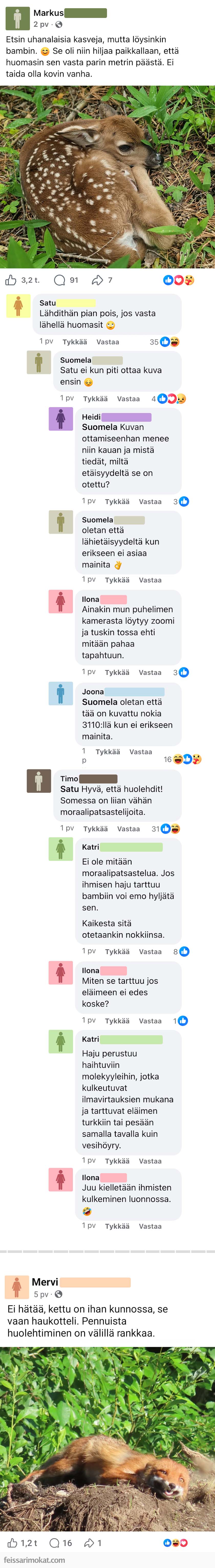 Luontoilta, osa 123
