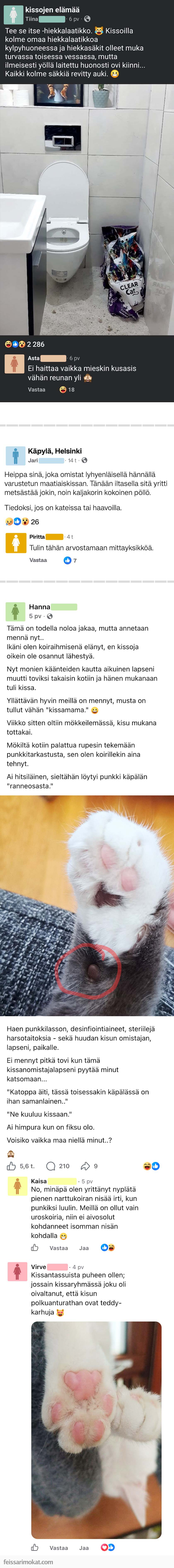 Kissaihmiset, osa 77