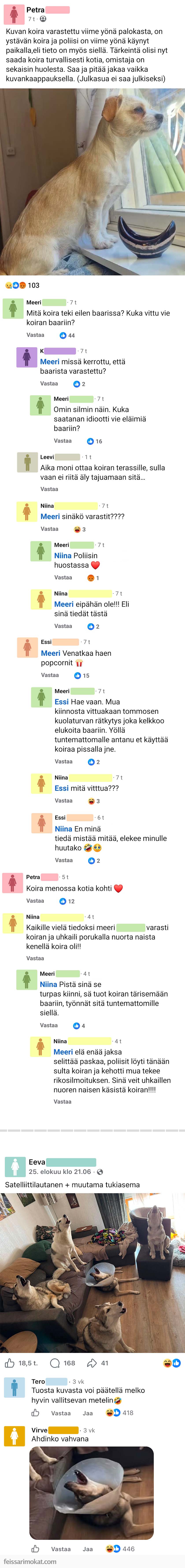 Koiranomistajat, osa 86