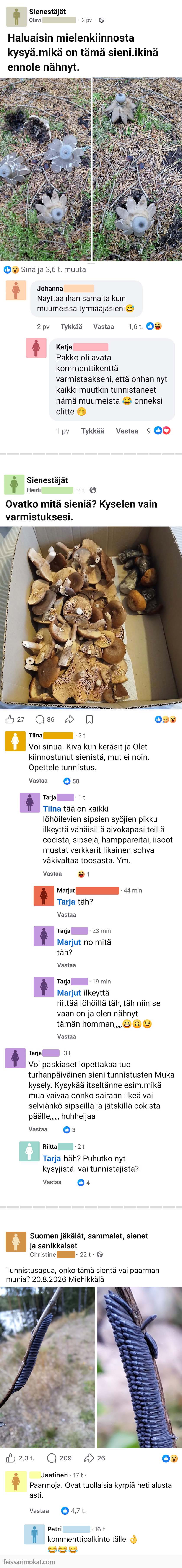Luontoilta, osa 128
