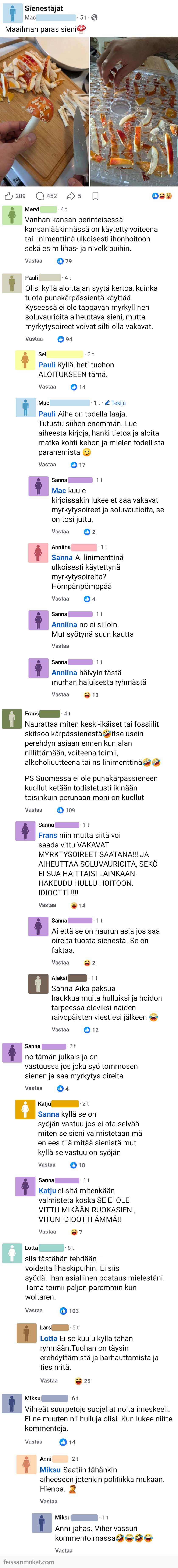 Sekaisin kärpässienistä