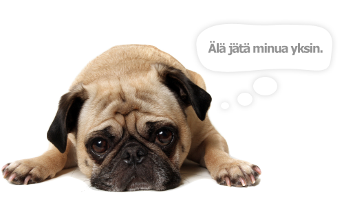 Ei kommentteja